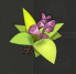 50x plantas savia